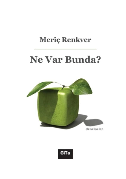 Ne Var Bunda? - Meriç Renkver